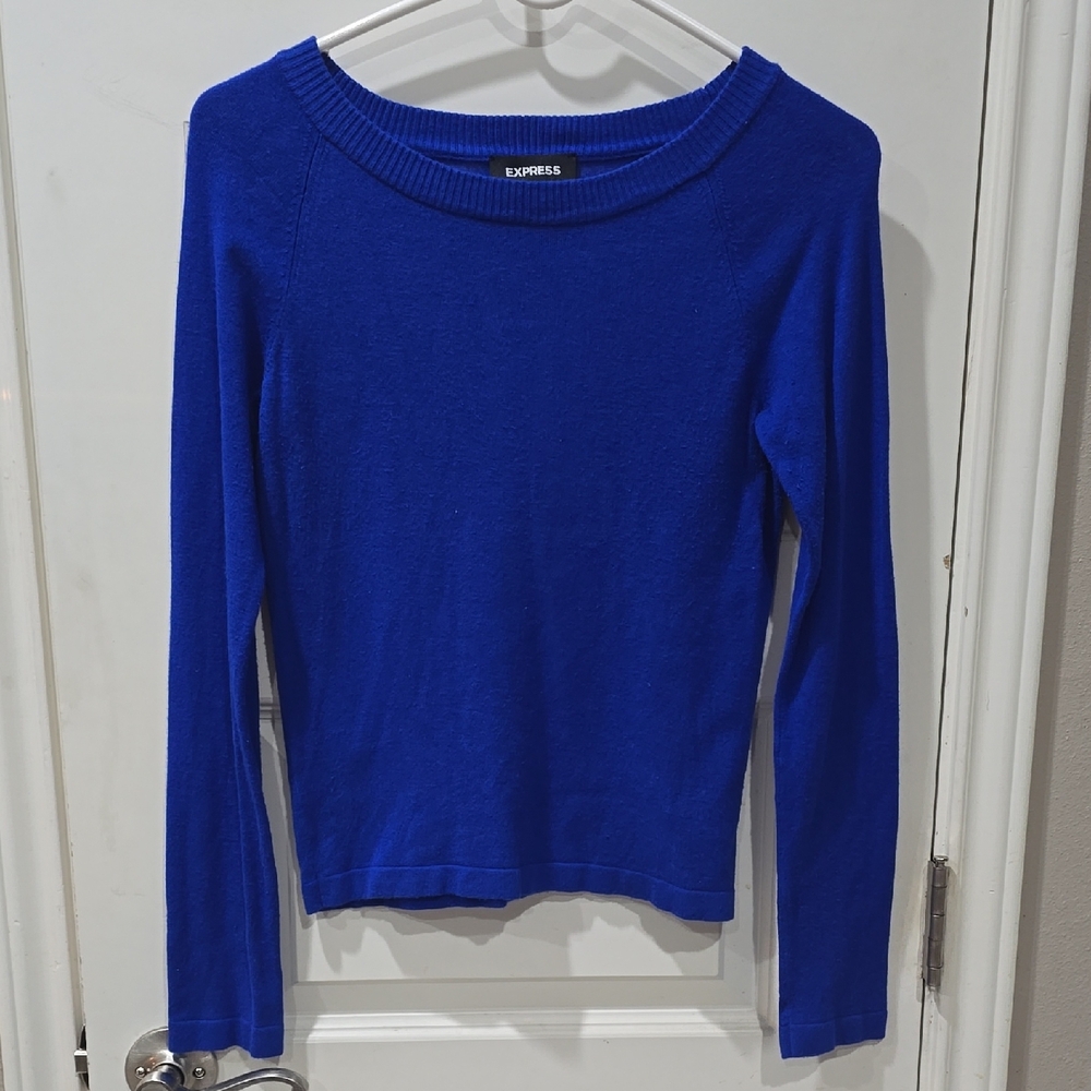 Express Royal Blue Sweater